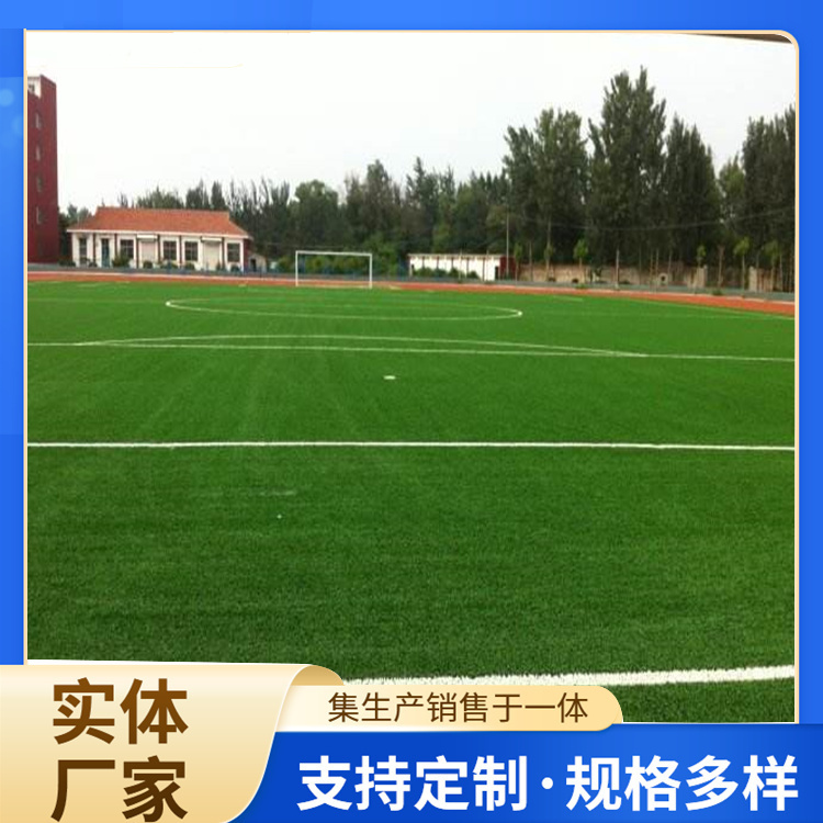 乐山市塑胶地坪人造草坪 - 推荐